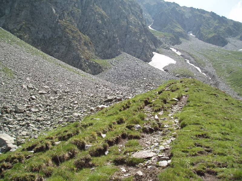 Youri - Ecrins 2005 351 